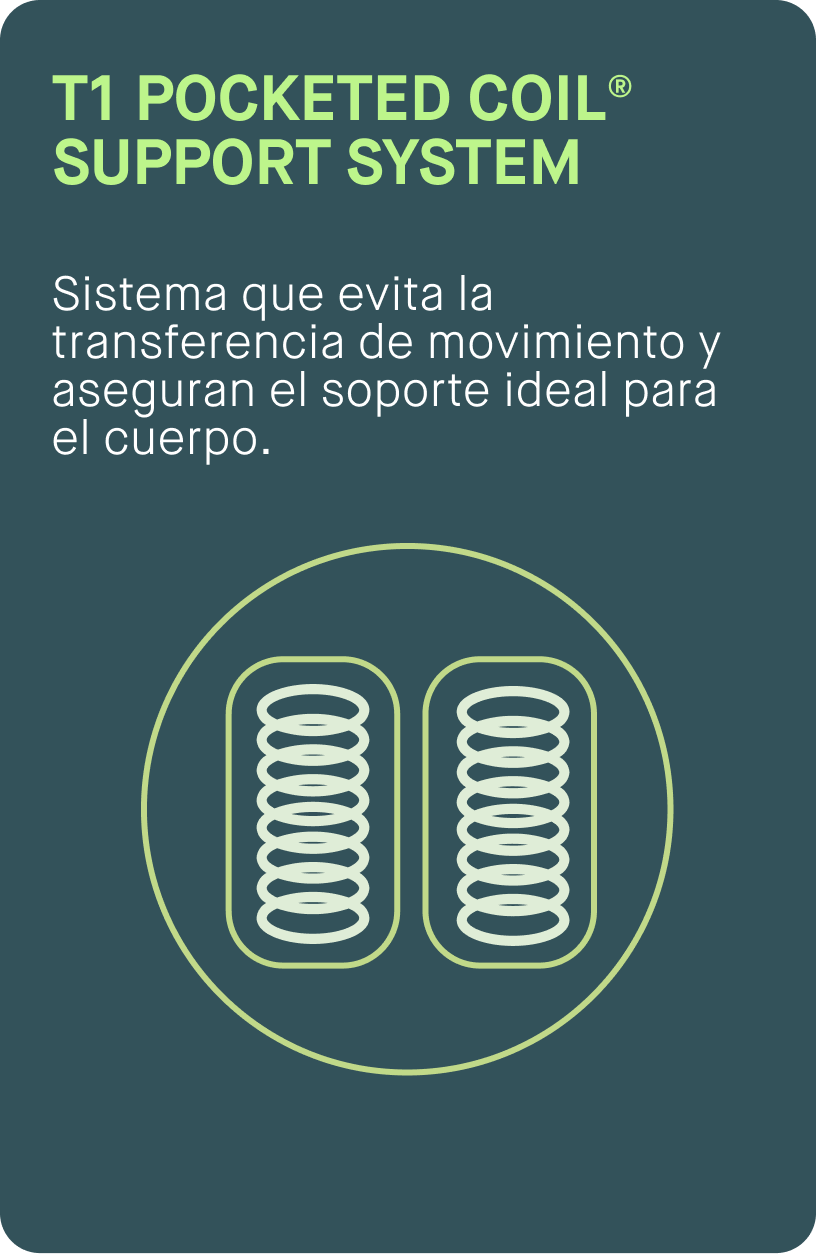 T 1 pocketd coil spport sytem