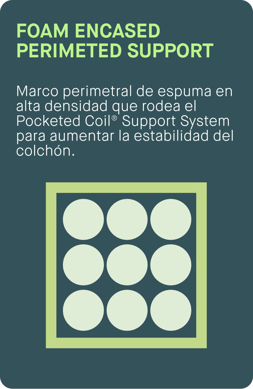 Foam encased permeted support