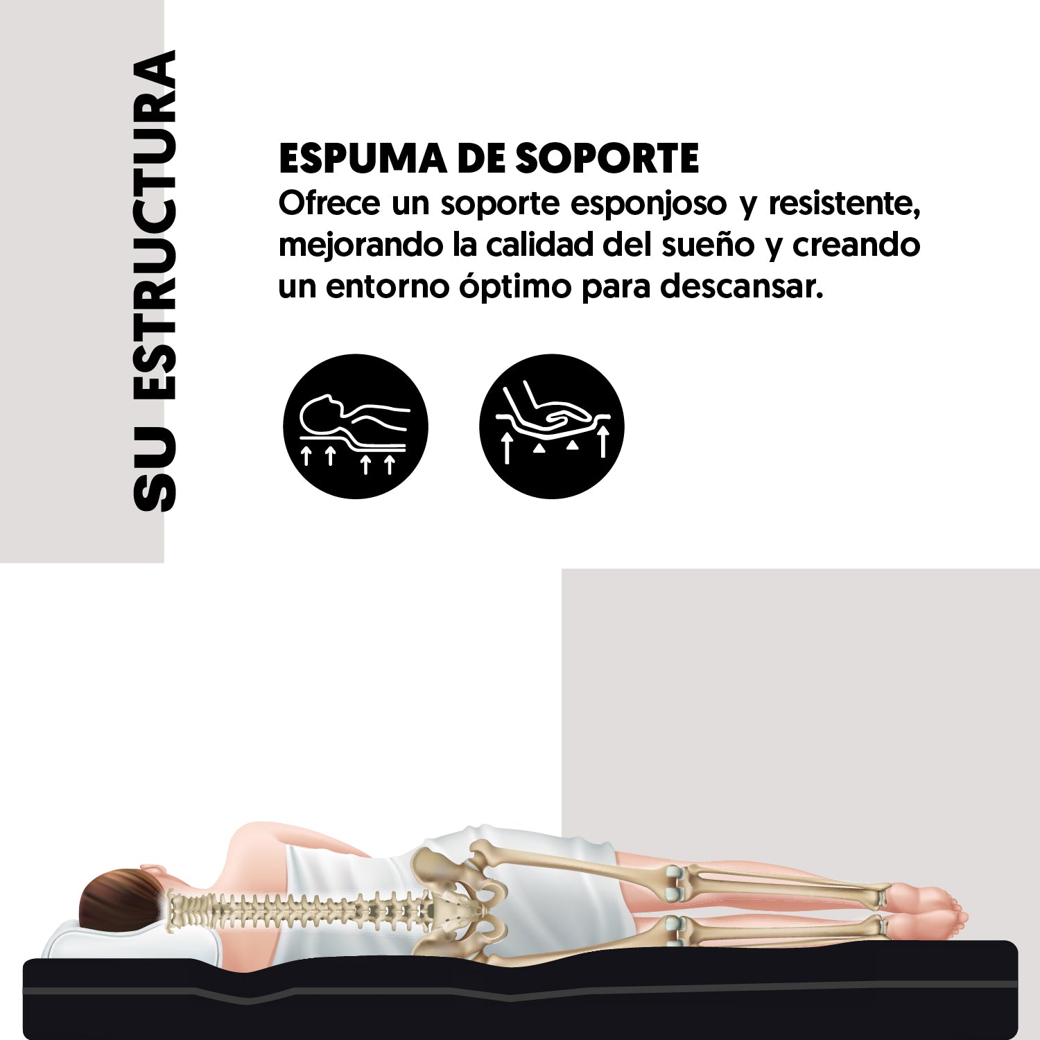 Colchón King Siesta Ortopedic by Jamar
