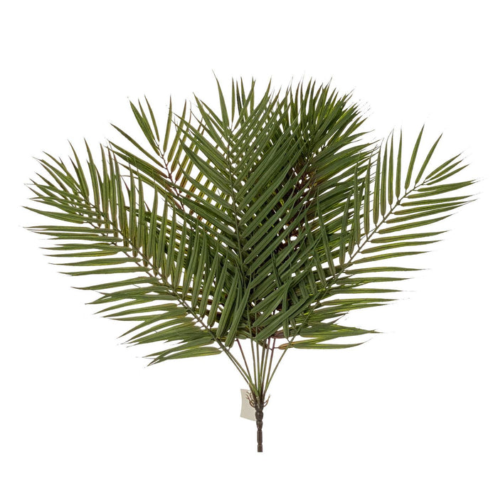 Flores Y Plantas Suelta 58X24 Verd Palma