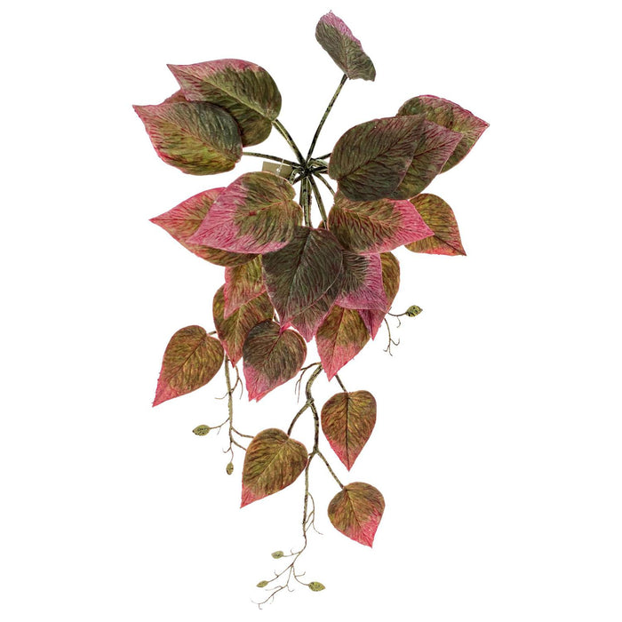 Flores Y Plantas Sueltas47X21 Ver/Ros Ra