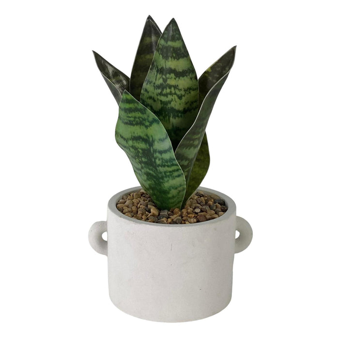 Planta 12X12X26 Verde-Blanco