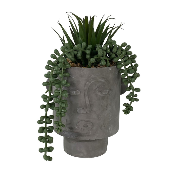 Planta 14X14X32 Verde Gris