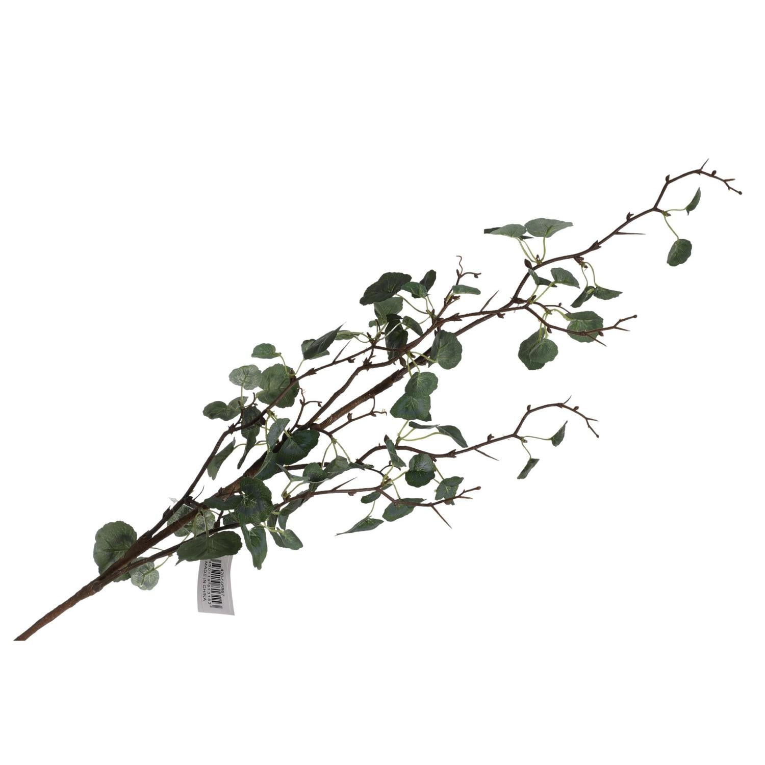 Planta X120 Verde Ramo