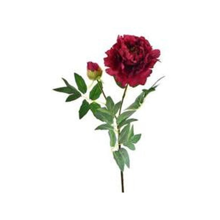 Flores Y Hojas Suelta Art.70 Fucs Peonia