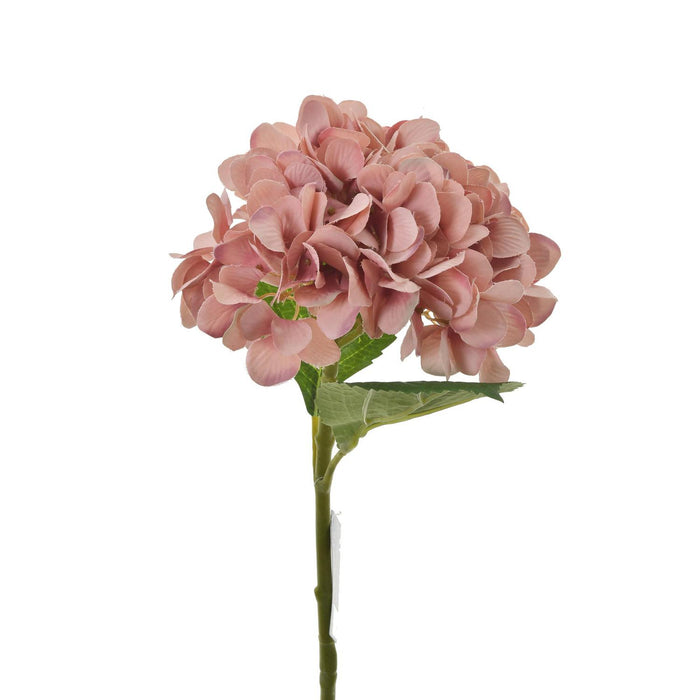 Flores Y Hojas Suelta Art.67 Rosa Horten