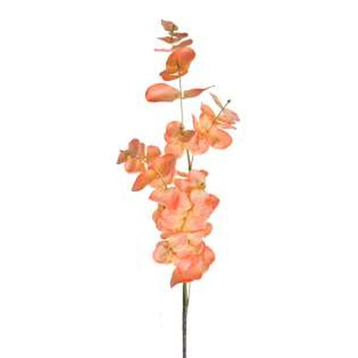 Flores Y Hojas Suelta Art.88 Rosa Eucali