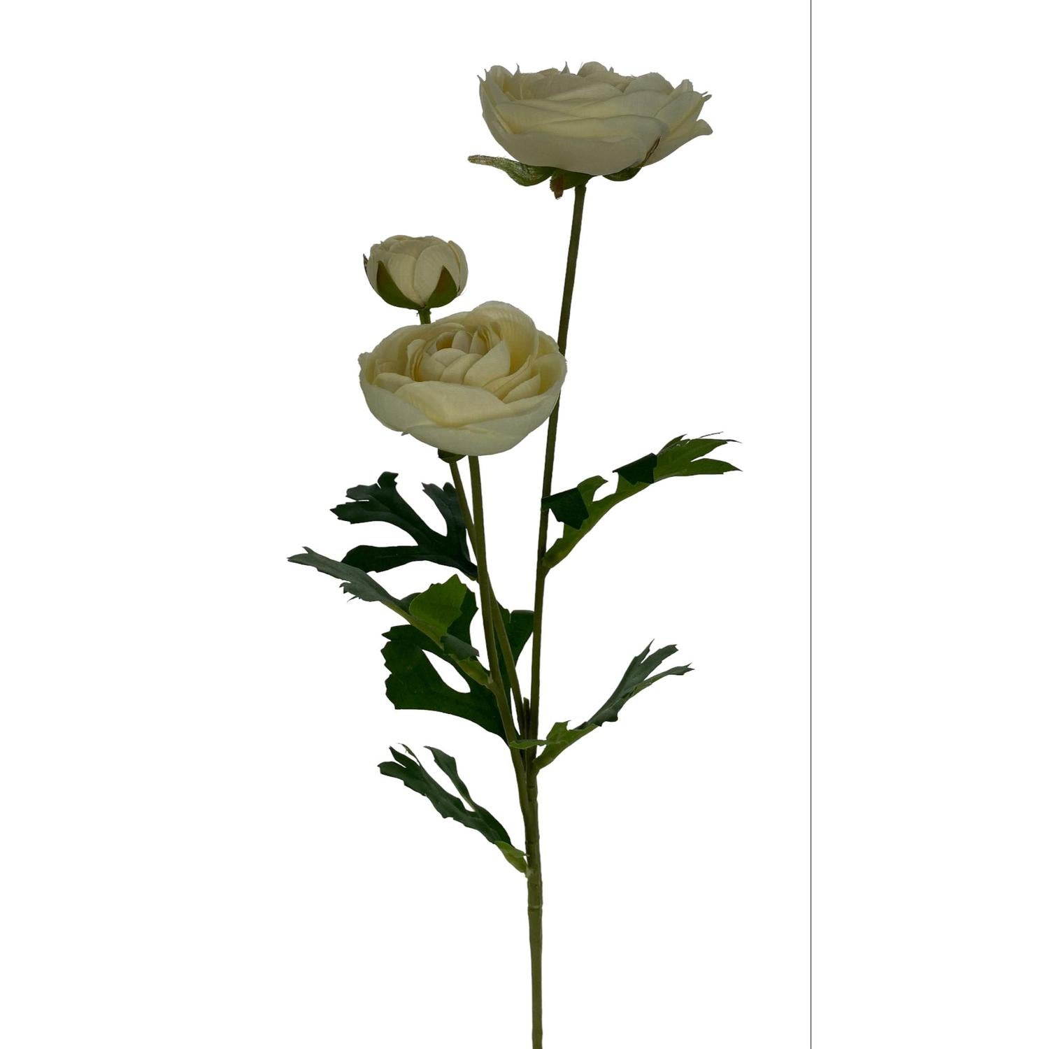 Flores Y Hojas Sueltas Beige  Rosa