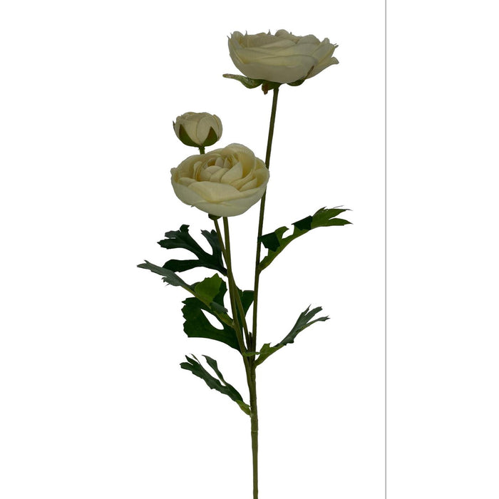 Flores Y Hojas Sueltas Beige  Rosa