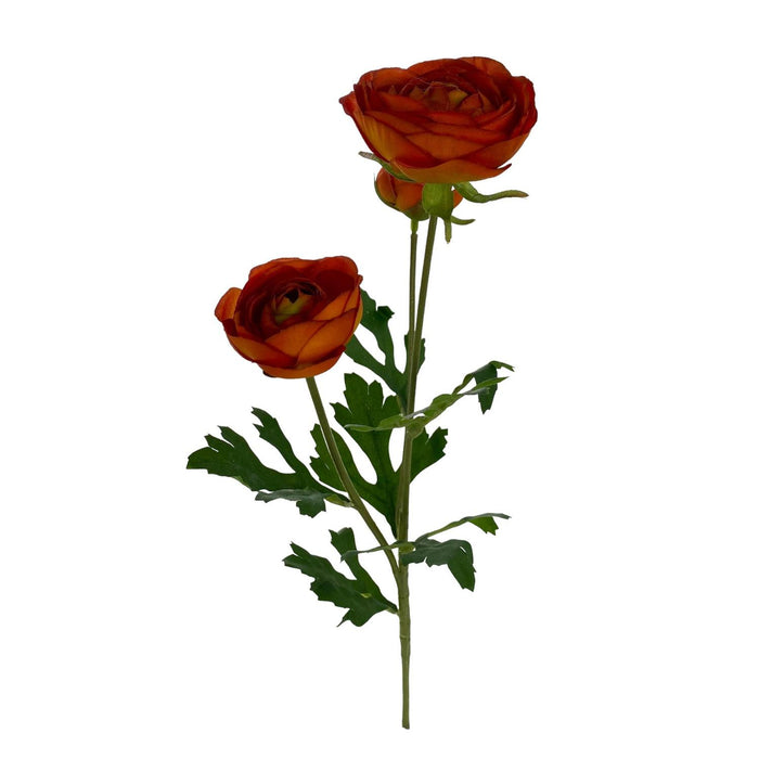 Flores Y Hojas Sueltas15X13X61Naran Ros