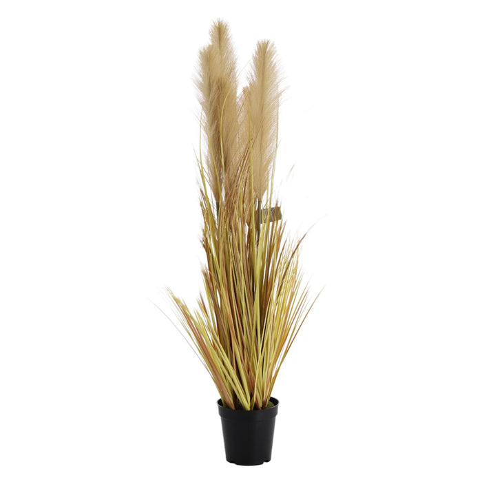 Flores Y Hojas Suelta X90 Negro Maiz