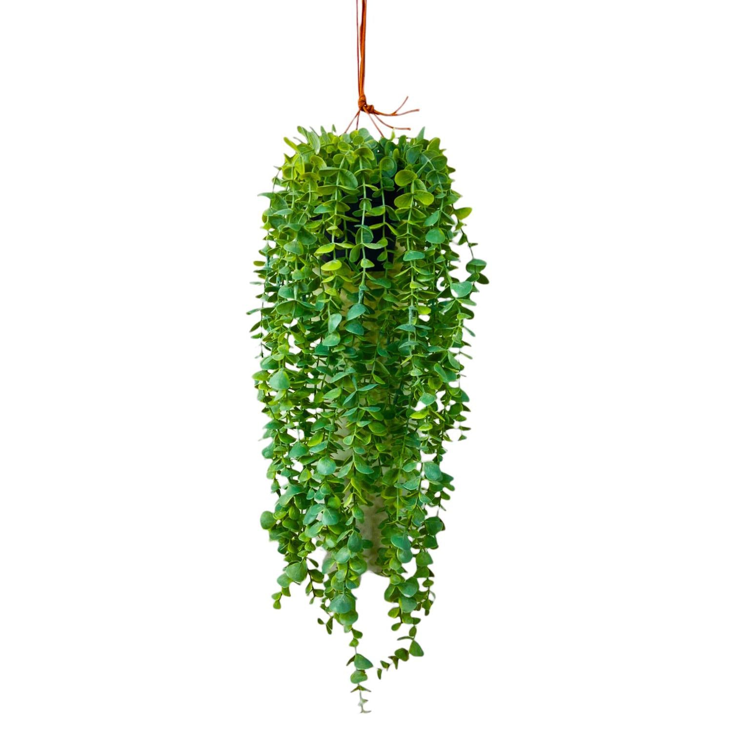 Flores Y Plantas Suelta28X28X60 Ver Colg