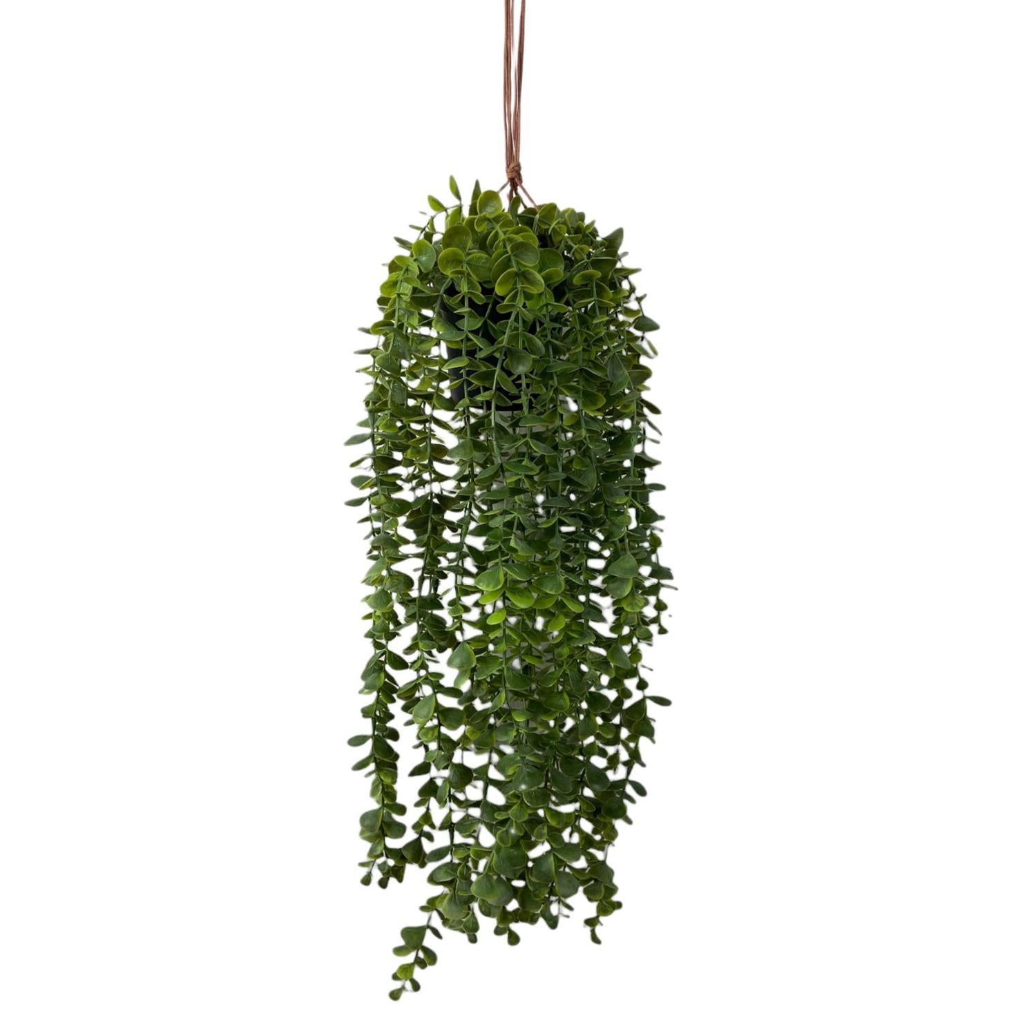 Flores Y Plantas Suelta28X28X60 Verd Oli
