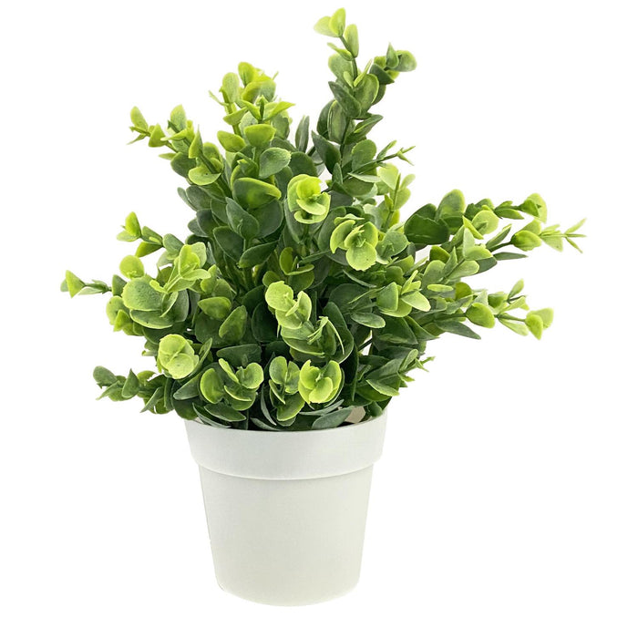 Flores Y Plantas Sueltas23X23X24 Bco Pot