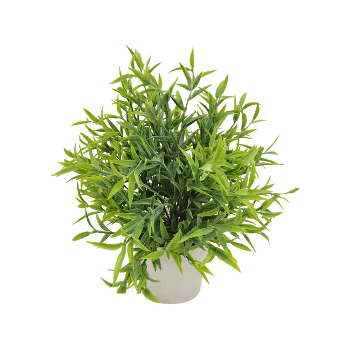 Flores Y Plantas Sueltas23X23X24 Bco Hel