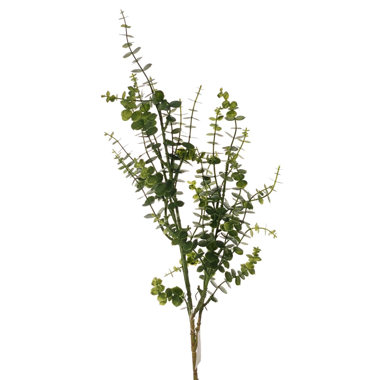 Flores Y Plantas Suelta 70X9 Verd Eucal