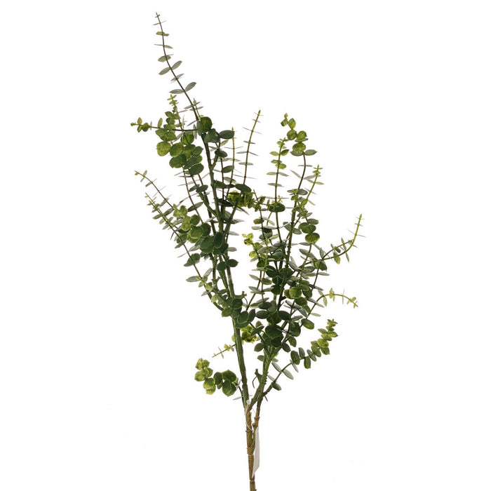 Flores Y Plantas Suelta 70X9 Verd Eucal