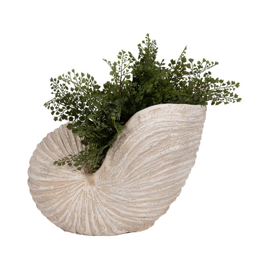 Figura 36X46X28 Bg Concha Marino Lv261