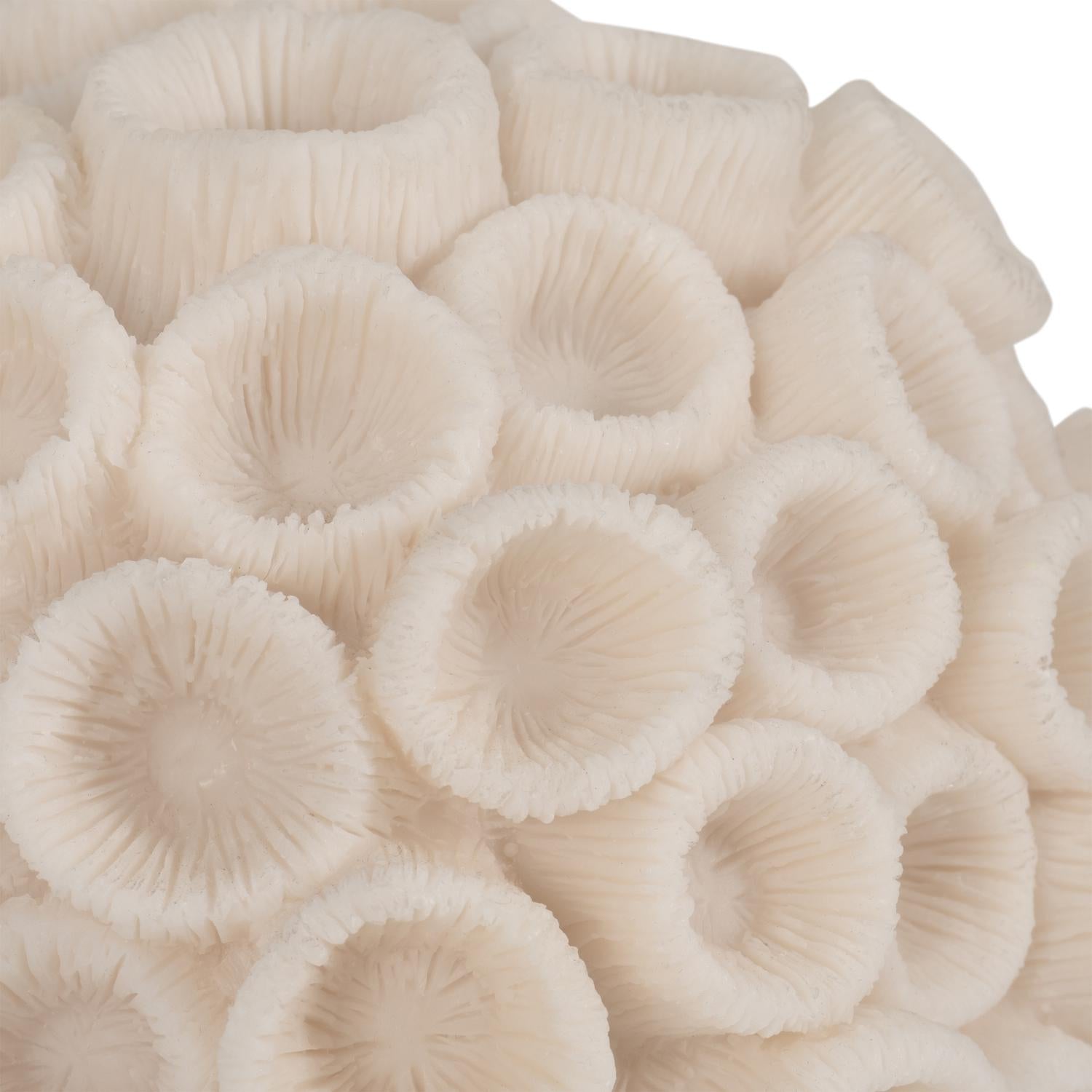 Figura 15X18X18 Beige Coral Marino Lv261