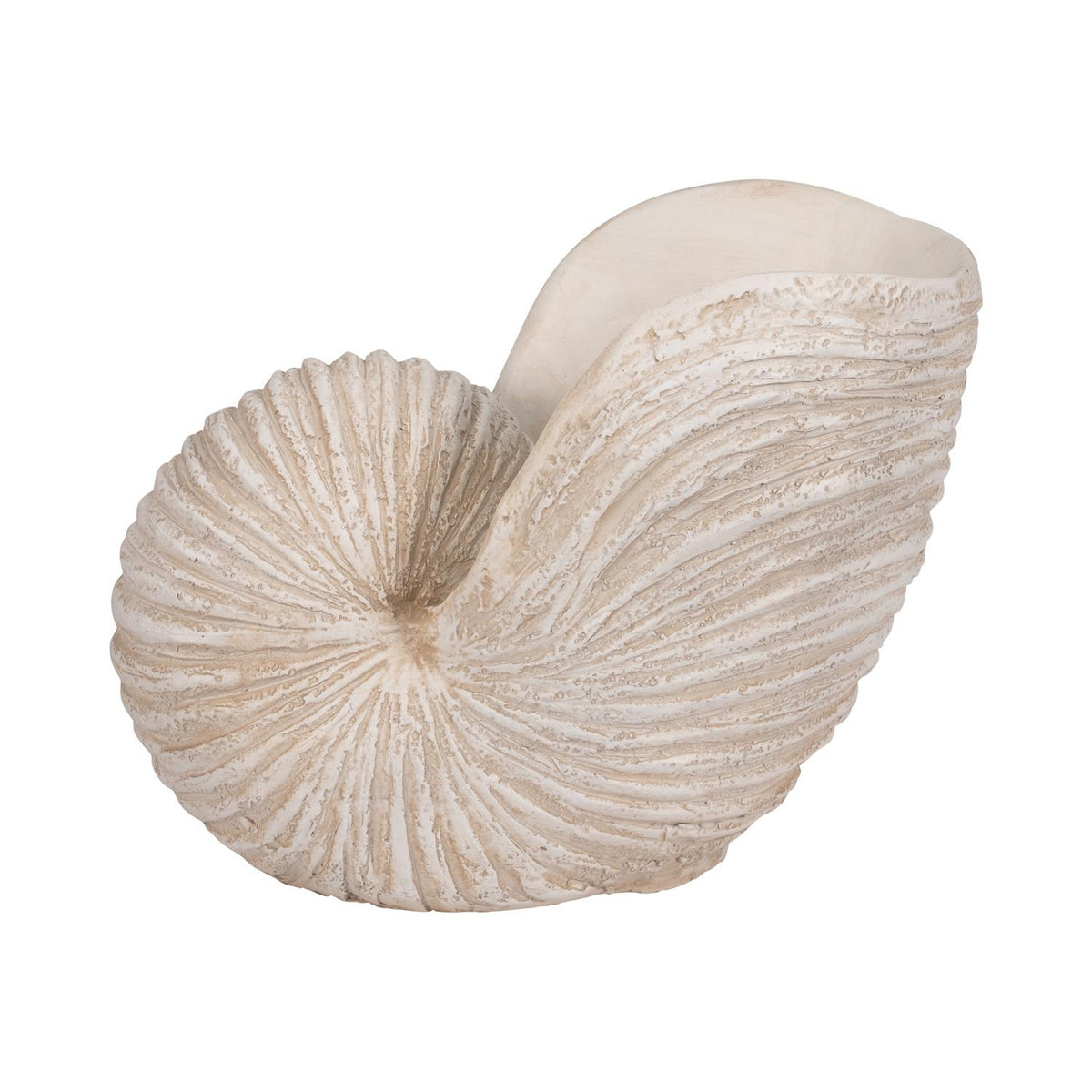 Figura 36X46X28 Bg Concha Marino Lv261