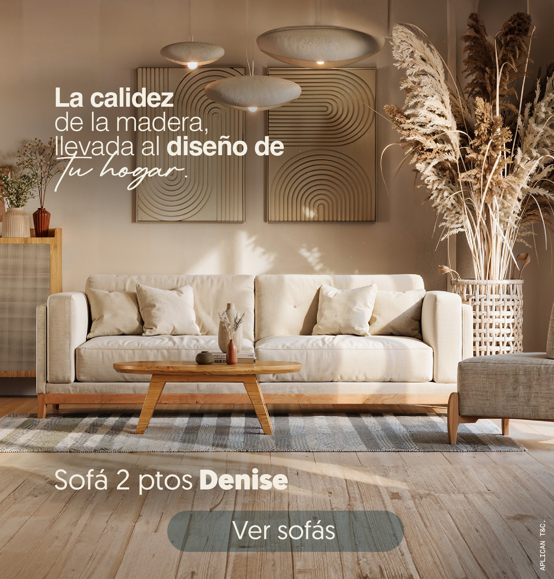 Sofás 2 puesto 